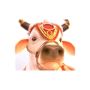 ganesha fortune 1x sacred cow symbol